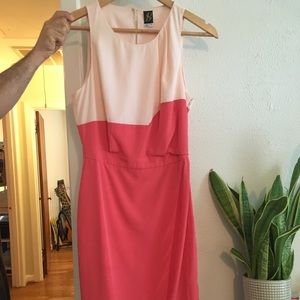 Pink Sachin + Babi Colorblock Dress